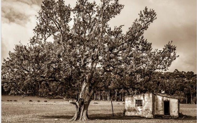 Riaan Jacobs se foto â€œmet â€˜n storieâ€